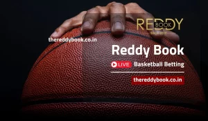 Read more about the article Basketball Betting 101: How to Bet on NBA and International Leagues on Reddybook
